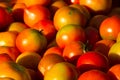 Background of groups of mature tomato market Royalty Free Stock Photo