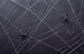 Background for Halloween. Gray texture. Spider`s web Royalty Free Stock Photo