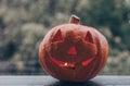 Background Halloween pumpkin on a cozy window sill with a red plaid. Whole pumpkin and sparkler outdoors. Happy Halloween! Autumn Royalty Free Stock Photo