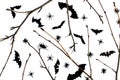 Background for halloween twigs and, bats and cockroaches on a white background Royalty Free Stock Photo