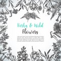 Background with Hand drawn herbs and wild flowers Vintage collection of Plants Floral invitation Vector illustrations in