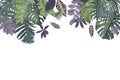 Background with hand drawn stropical leaves and plants Royalty Free Stock Photo