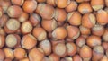 Background of a handful of hazelnuts