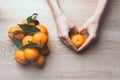 Background with hands holding tangerines. Winter holiday frame. Flat lay top view