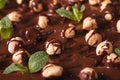 Background of hazelnut and chocolate macro. Horizontal