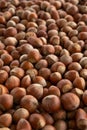 Background hazelnuts. Hazelnut composition and backgorund. Turkish hazelnuts.