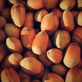 Background with hazelnuts. Healthy autumn nuts