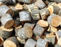 Background of heap of wooden logs and cutted trunks Royalty Free Stock Photo