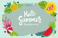 background hello summer concepts design watermelon pineapple sun vector Royalty Free Stock Photo