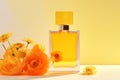 Medicine beauty natural oil flowers treatment yellow aromatherapy herbal calendula