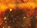 Background hexagon texture, wax honeycomb Royalty Free Stock Photo