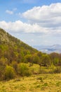 Background with hills forest and sky