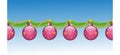 The background of the holiday wishes of the season and the border branches of a Christmas tree decorated with colourful balls with