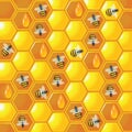 Background honey comb with bees Royalty Free Stock Photo