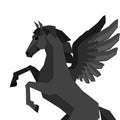 Background with horse pegasus in flat style