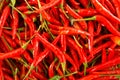 Hot peppers at market stall in Phuket. Royalty Free Stock Photo