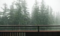 Background. Hotel balcony overlooking pine forest in fog. Balcony in apartment outside morning in fog. Copy space. Pine forest