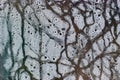 Background of humidity water drops macro from under the plastic material Royalty Free Stock Photo