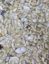 background of hundreds small shells