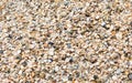 background of hundreds of thousands of seashells by the sea Royalty Free Stock Photo