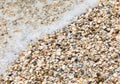 background of hundreds of thousands of seashells by the sea Royalty Free Stock Photo