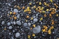 Background, Icelandic black sand beach, top view of ocean pebbles and algae Royalty Free Stock Photo