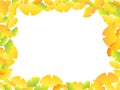 Frame illustration of the autumn yellow ginkgo leaves.