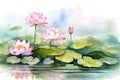 Background illustration blossom plant watercolor flower water pink nature blooming art lotus leaf summer Royalty Free Stock Photo
