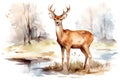 Background illustration brown animal deer drawing watercolor nature wildlife wild art mammal isolated