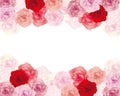 Background illustration of colorful carnations Royalty Free Stock Photo