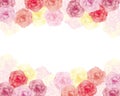 Background illustration of colorful carnations Royalty Free Stock Photo