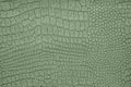 Background image - artificial textured crocodile skin green