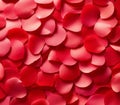 Background image. Beautiful rose petals.