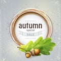 Background image for the big autumn sale with oak leaves with acorns