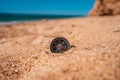 Background image of compass lying on beach with sea view, travel concept