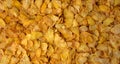 Background image of corn flakes on a table Royalty Free Stock Photo