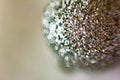 Background, image created by a close-up shot of a ball covered with glitter. abstract