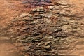 Background image of cut logs