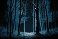 a background image of a dark forest that is both eerie and intimidating Royalty Free Stock Photo