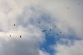 Background image of deep blue sky with  white clouds and group of birds . Royalty Free Stock Photo