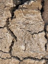 Background image of a dried mud wall. Royalty Free Stock Photo