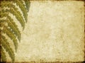 Background image with earthy texture