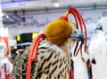 Background image of A falcon wearing its hood