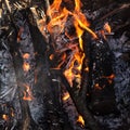 Background image fire. Burning logs and coals