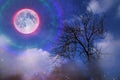 Background image of full moon with halo during dark night and lonely tree Royalty Free Stock Photo