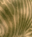 Background image of a golden green zebra pattern