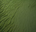 Background image of green sand