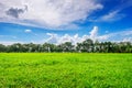 Background image of lush grass field under blue sky