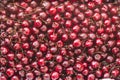 Background image of lying red ripe sweet cherries. Top view, flat lay. Copy space Royalty Free Stock Photo