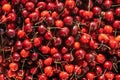 Background image of lying red ripe sweet cherries. Top view, flat lay. Copy space Royalty Free Stock Photo